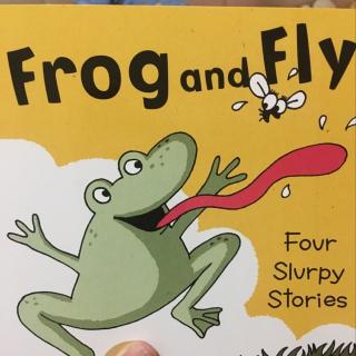 frog and fly