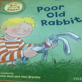 poor old rabbit