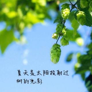 《茶笺：广融》