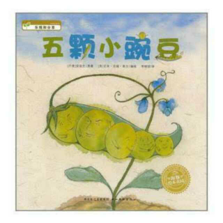 姜老师─《五颗小豌豆》