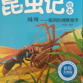 【乐驰妈妈讲故事】法布尔昆虫记：蛛蜂-聪明的捕蛛猎手