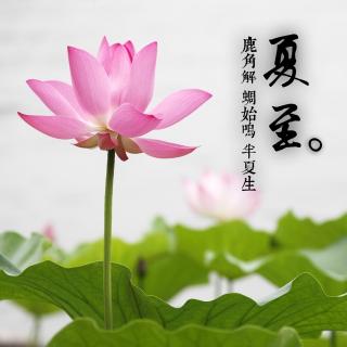 二十四节气——夏长欢歌4 夏至