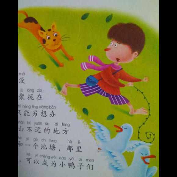 昆虫记之四《神秘的池塘》中