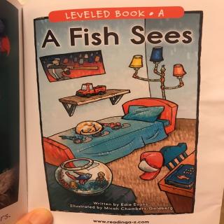 A fish sees