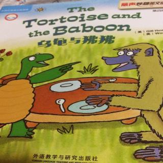 The Tortoise and the Baboon