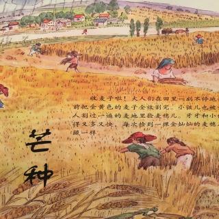 中文绘本《这就是二十四节气·夏》芒种