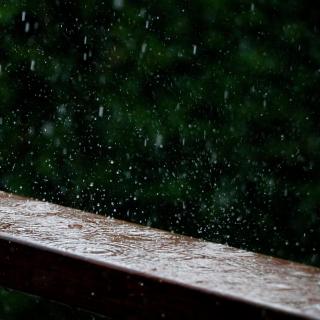 《夏天的雨》——朱伟《四季小品》
