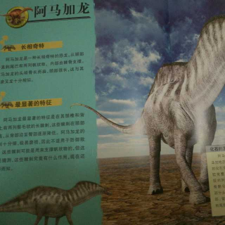 恐龙系列《盾甲龙，埃特蒙顿甲龙，阿马加龙》