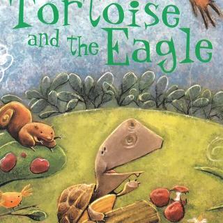 The tortoise and The eagle ～