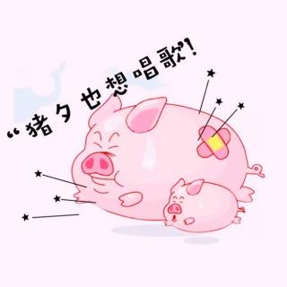 🐷洛夕『虫儿飞』