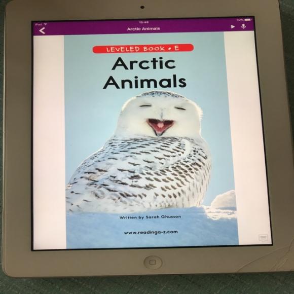 arctic animals