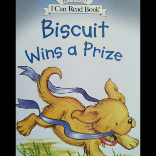 biscuit wins a prize