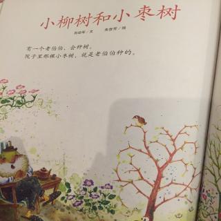 20170722十七讲故事 小柳树和小枣树