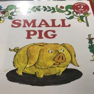 Small pig-170722