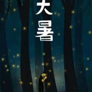 【四季的韵脚】：大暑-《✨星星点灯💡》