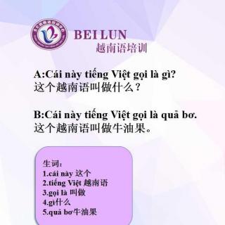 越南语学习 这个越南语叫做什么