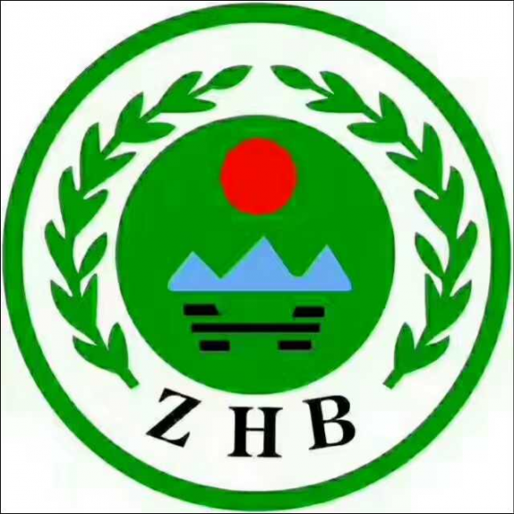 环保督察大行动