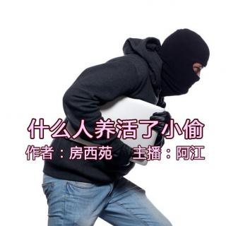 什么人养活了小偷