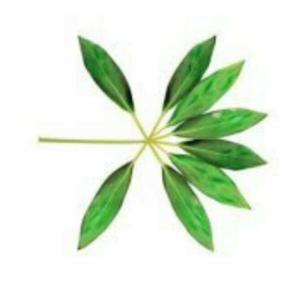  kokobop-Exo