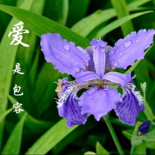 峻华妈《接纳包容是最好的爱》