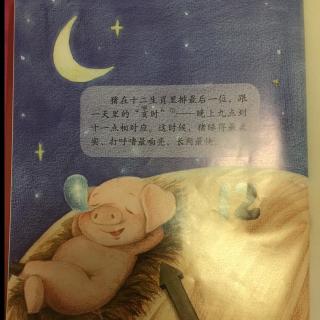 绘本中华故事十二生肖猪🐷