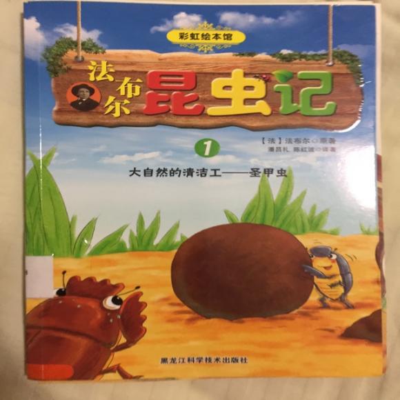 法布尔昆虫记:圣甲虫05