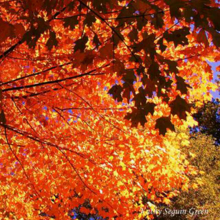 Storm Of Autumn·矶村由纪子