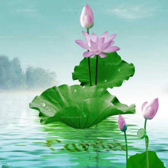 改变自己就在影响别人