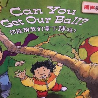 Can you get our ball 你能帮我们拿下球吗？