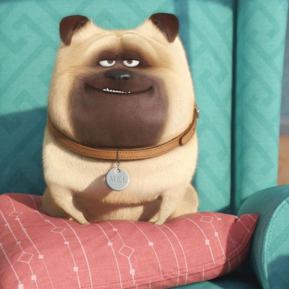 【缘周律情怀之作:只疗伤,不投毒】在线收听_缘周律_荔枝fm