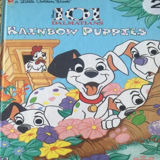 Rainbow puppies