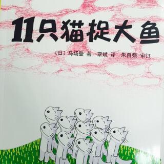 3Y3M 《11只猫捉大鱼》