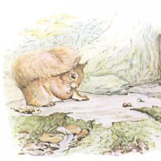 豌豆妈妈讲故事 彼得兔全集4小松鼠特纳金