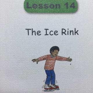 The Ice Rink