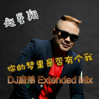 赵星翔 你的梦里是否有个我 (DJ唐弟 Extended Mix)