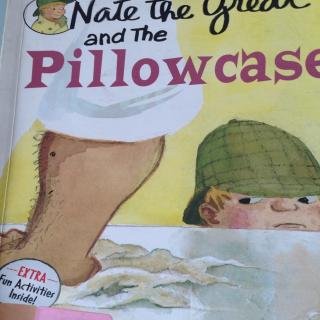 Nate the great and the pillow case-2017725