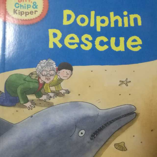 dolphin rescue