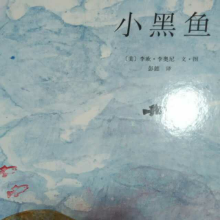 小黑鱼