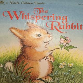 The whispering rabbit