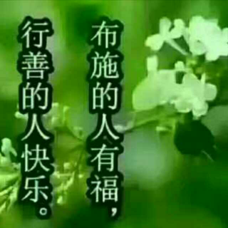 让世界因我而美丽（二）