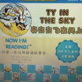 Ty in the sky