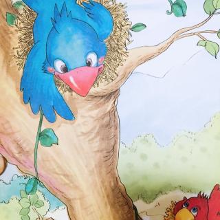 010—一棵树上的两只鸟—尤娜姐姐睡前故事