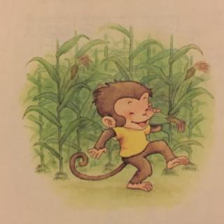 萌萌哒读故事《小猴子下山》