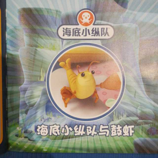 海底小纵队与鼓虾