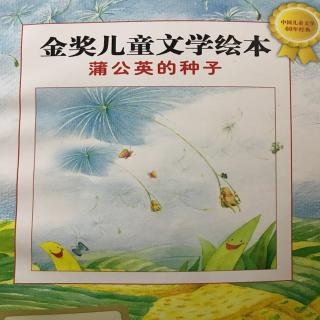 蒲公英的种子