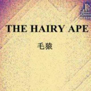 The Hairy Ape  毛猿