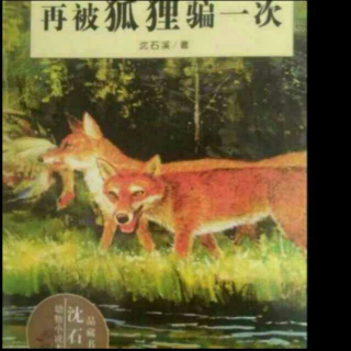 《沈石溪动物小说大王》动物档案:狐“再被狐狸骗一次”（下）