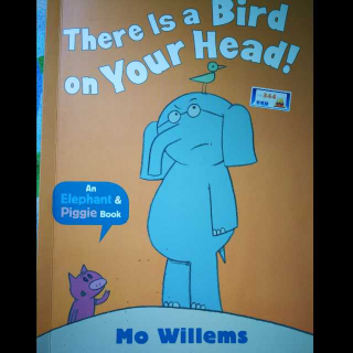 猪象4.a Bird on Your Head