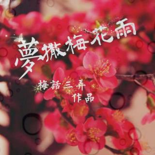 接龙客栈[505]梦撒梅花雨(第47回)(大结局)