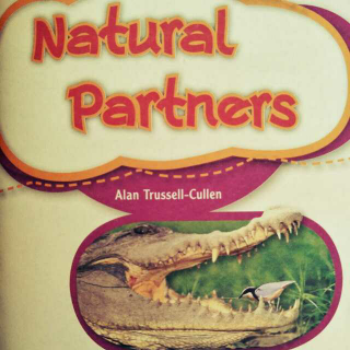 Natural Partners 共生伙伴